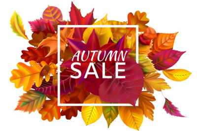 Fall sale banner. Autumn season sales&2C; autumnal discount and fallen le