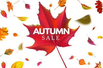 Autumn sale banner. Season sales template with falling leaves&2C; fallen