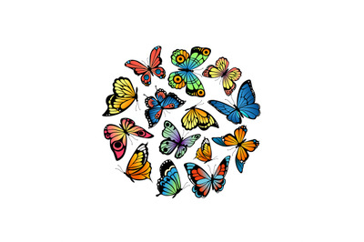 Vector decorative butterflies in circle shape illustration