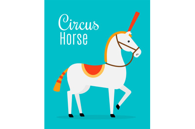 Circus white horse