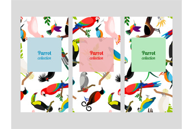 Parrot flyers collection with birds patterns