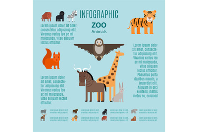 Zoo animals vector infographic