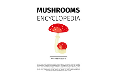 Amanita muscaria mushroom