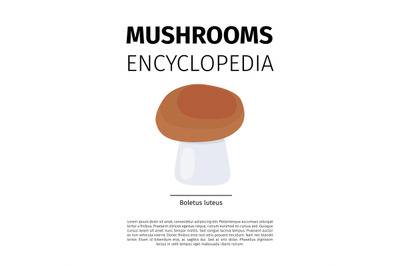 Boletus luteus mushroom