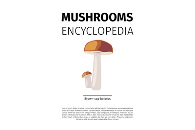 Brown cap boletus mushroom