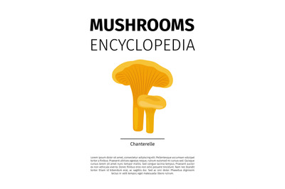 Chanterelle mushroom illustration