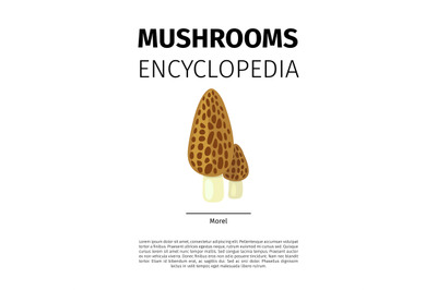 Morel mushroom illustration