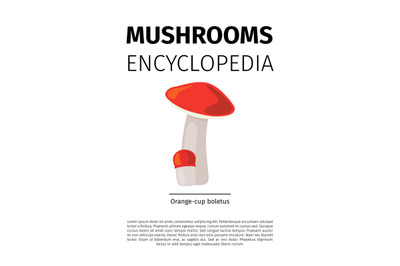 Orange cup boletus mushroom