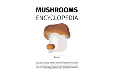 Porcini mushroom illustration