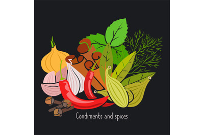 Condiments and spices on dark background