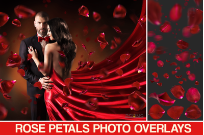 Falling Rose Petals Photo Overlays , Flower overlay, Photoshop overlay