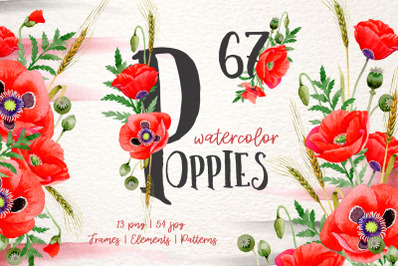 Magic Red Poppies Watercolor Clipart, Digital Flowers, Clipart, Hand P