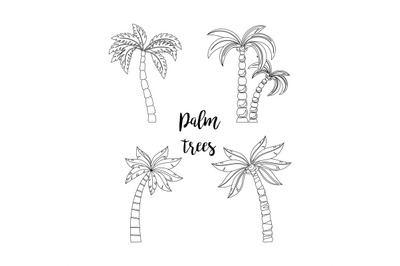 Palm trees set for coloring book