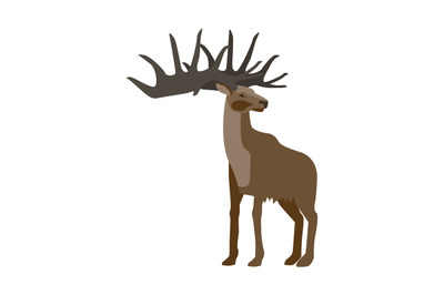 Prehistoric animal deer