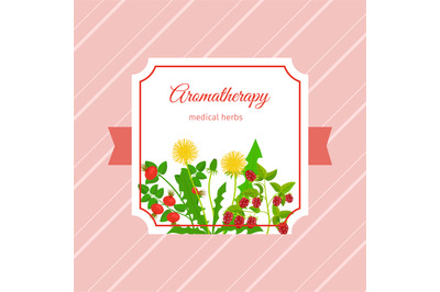 Medical aromatherapy herbs label design