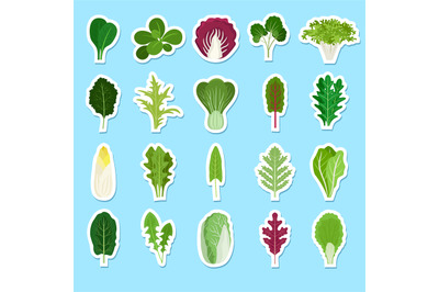 Cartoon green salad leaves stickers