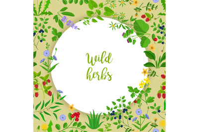 Wild herbs and berries circle frame