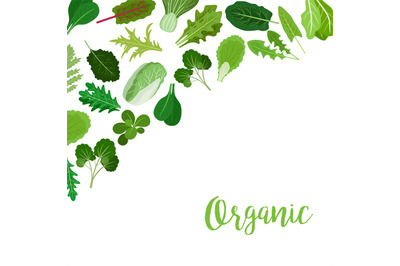 Organic banner with salad leaves