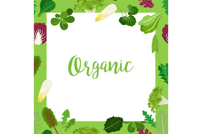 Organic banner with leaves square frame