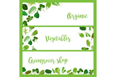 Organic horizontal banners with salad leaves