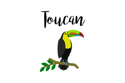 Exotic tropical toucan parrot bird