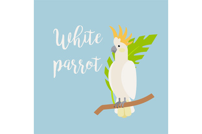 Exotic tropical bird, white parrot