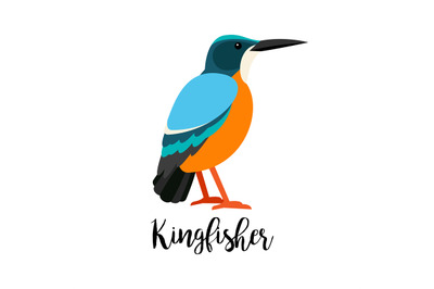 Exotic tropical kingbisher bird