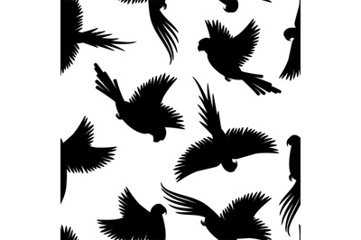 Birds black silhouettes pattern