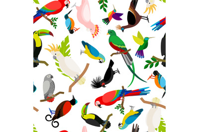 Parrots vector pattern