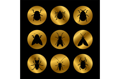 Black insects silhouette on golden rounds