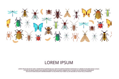 Flat vector icons insects background or banner template