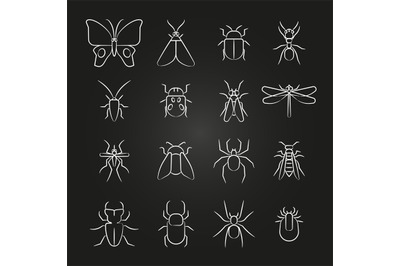 Popular insects line icons set