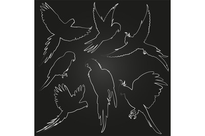 White vector parrots&2C; jungle birds line silhouettes