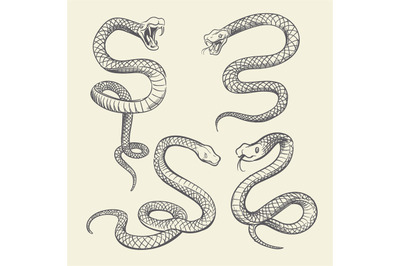 Hand drawing snake set. Wildlife snakes tattoo vector design isolated