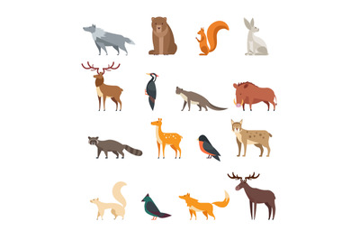 Forest wild animals and birds cartoon vector set isolated. Flat deer,