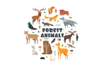 Wild forest animals and birds arranged in circle. Vector cover design