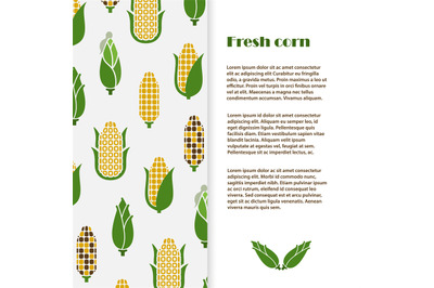 Fresh corn banner template design. Vector harvest flyer