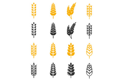 Black and yellow wheat ears silhouettes vector icons