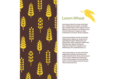 Wheat ears bread banner template. Grains flyer design