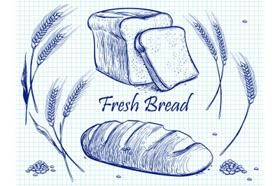 Sketch bunch of wheat ears, bread and grains. Vector bakery illustrati