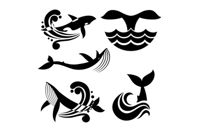 White and black wild whale in sea waves and water splashes vector icon