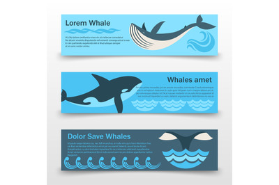 Wild whales banners template