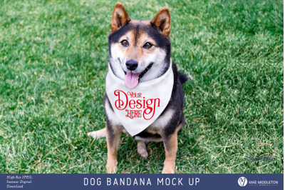 Dog Bandana Mock up, styled photo