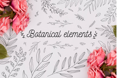 110 Hand drawn botanical elements
