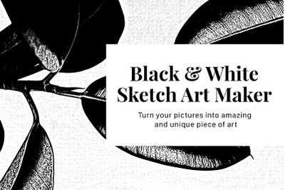 Black and White Sketch Art Maker