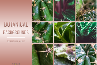 30 Botanical floral digital backdrop, Fern overlay, Flower textures