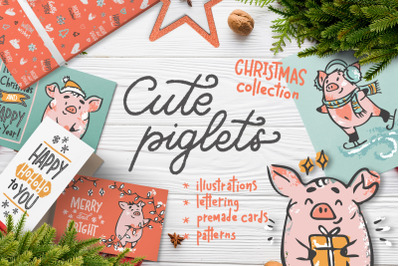 Cute piglets. Christmas collection