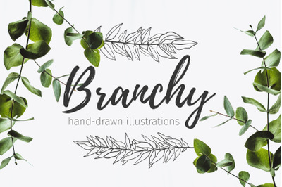 52 hand drawn branches