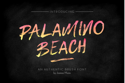 Palamino Beach brush font