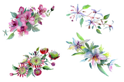 Bouquet of flowers Moulin Rouge watercolor PNG